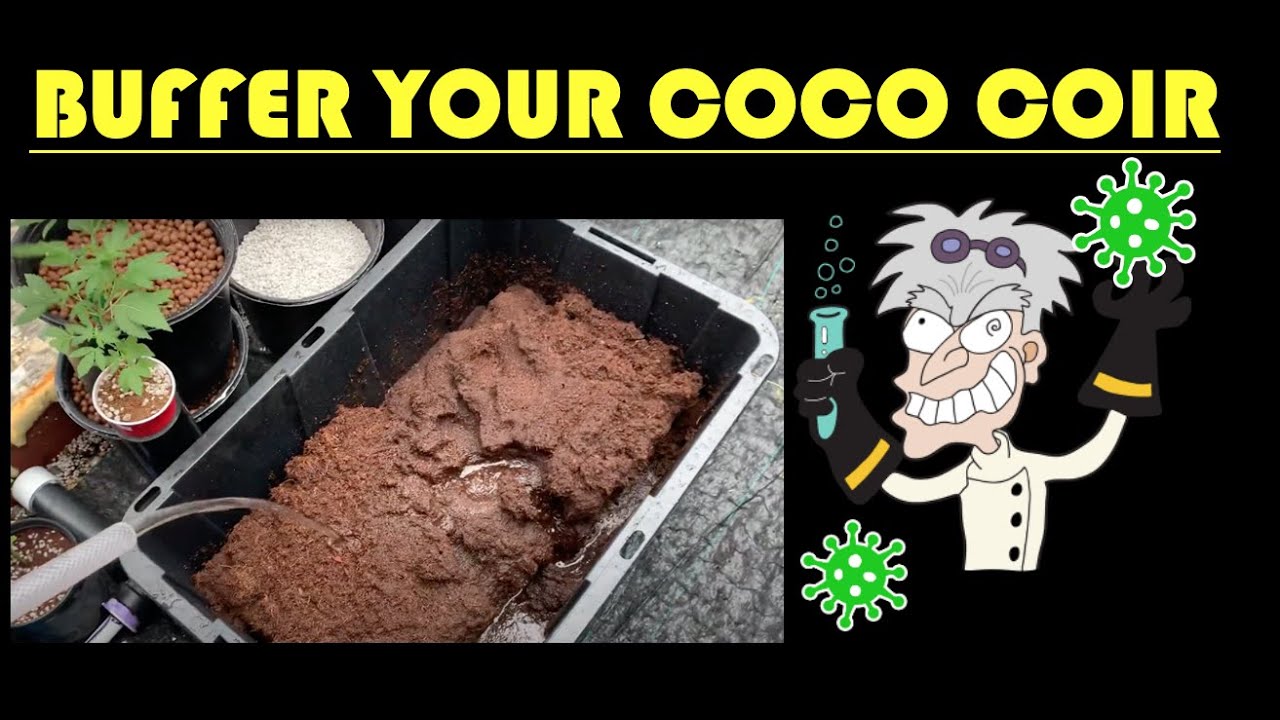 Buffering coco coir with cal-mag