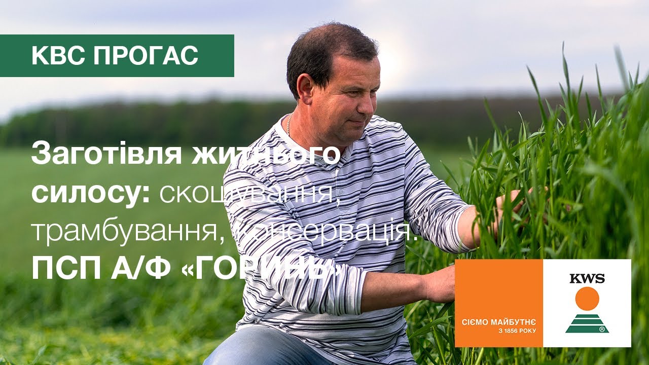 КВС ПРОГАС в ПСП А/Ф «ГОРИНЬ». Скошування, трамбування, консервація | Заготівля житнього силосу