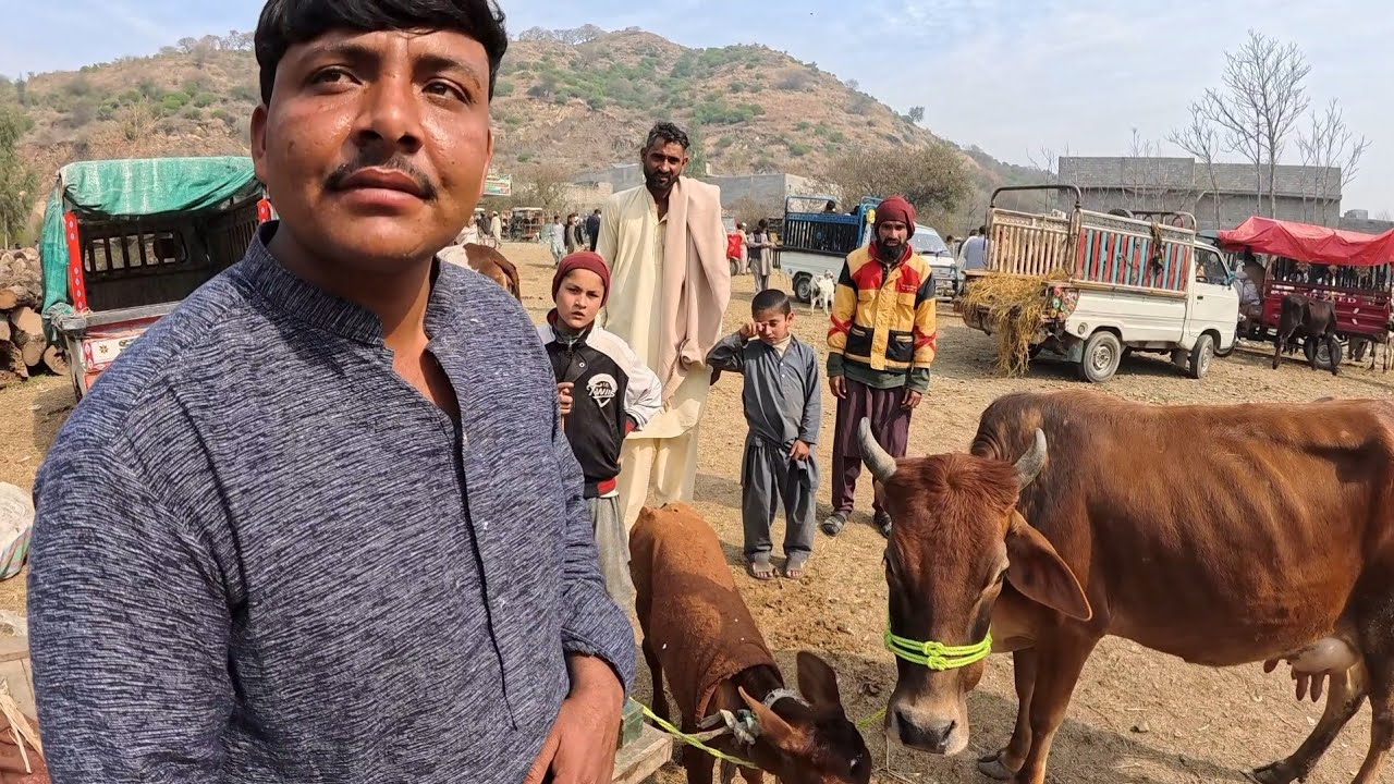 All Pakistan ka Sasta Mandi /// 10 February 2026
