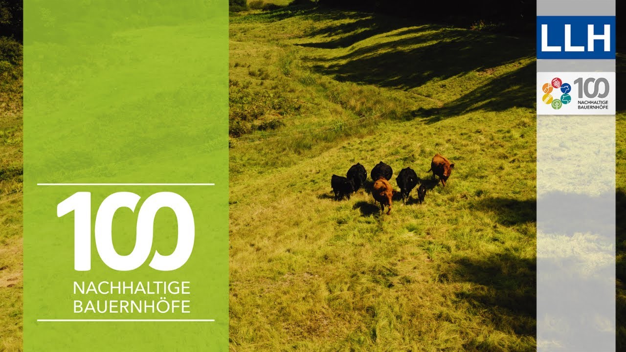 Beweidung mit Mehrwert: Rinder, Landschaftspflege & Vermarktung | Projekt 100 nachhaltige Bauernhöfe