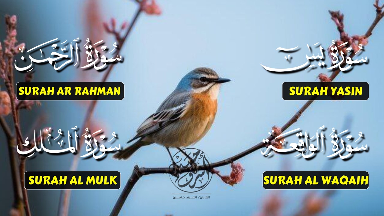 Very Nice Voice Surah Yaseen | Surah Rahman | Surah Waqiah | Surah Mulk l Reciter Ashraf Hussain 060