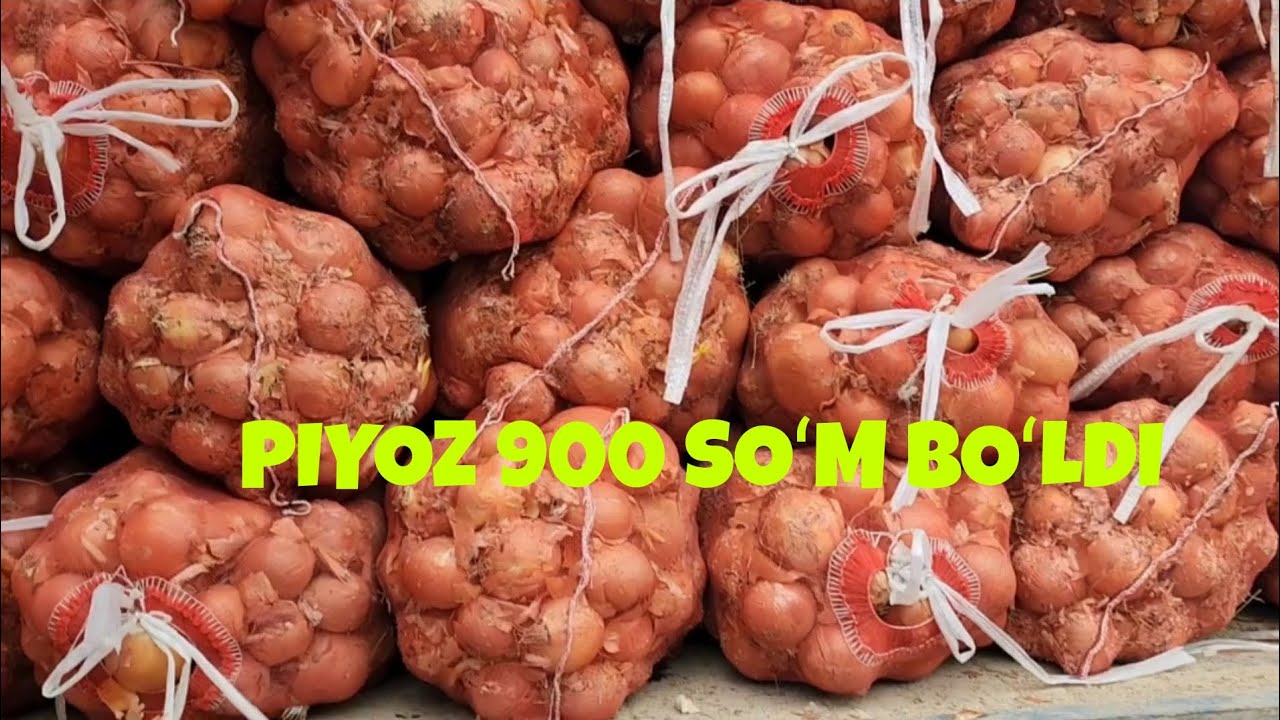 Yerqoʻrgʻon bozorda piyoz narxlari