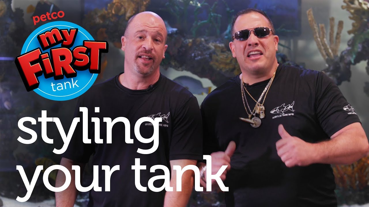 Petco and Animal Planet's Tanked Present: My First Tank - Stylizing Your Fish Tank
