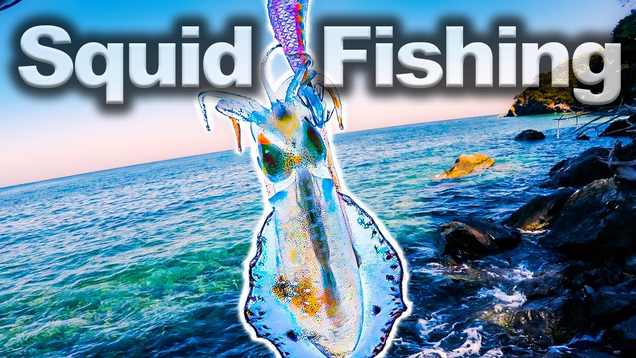 Squid fishing ! Catch and Cook on a beautiful beach in Japan