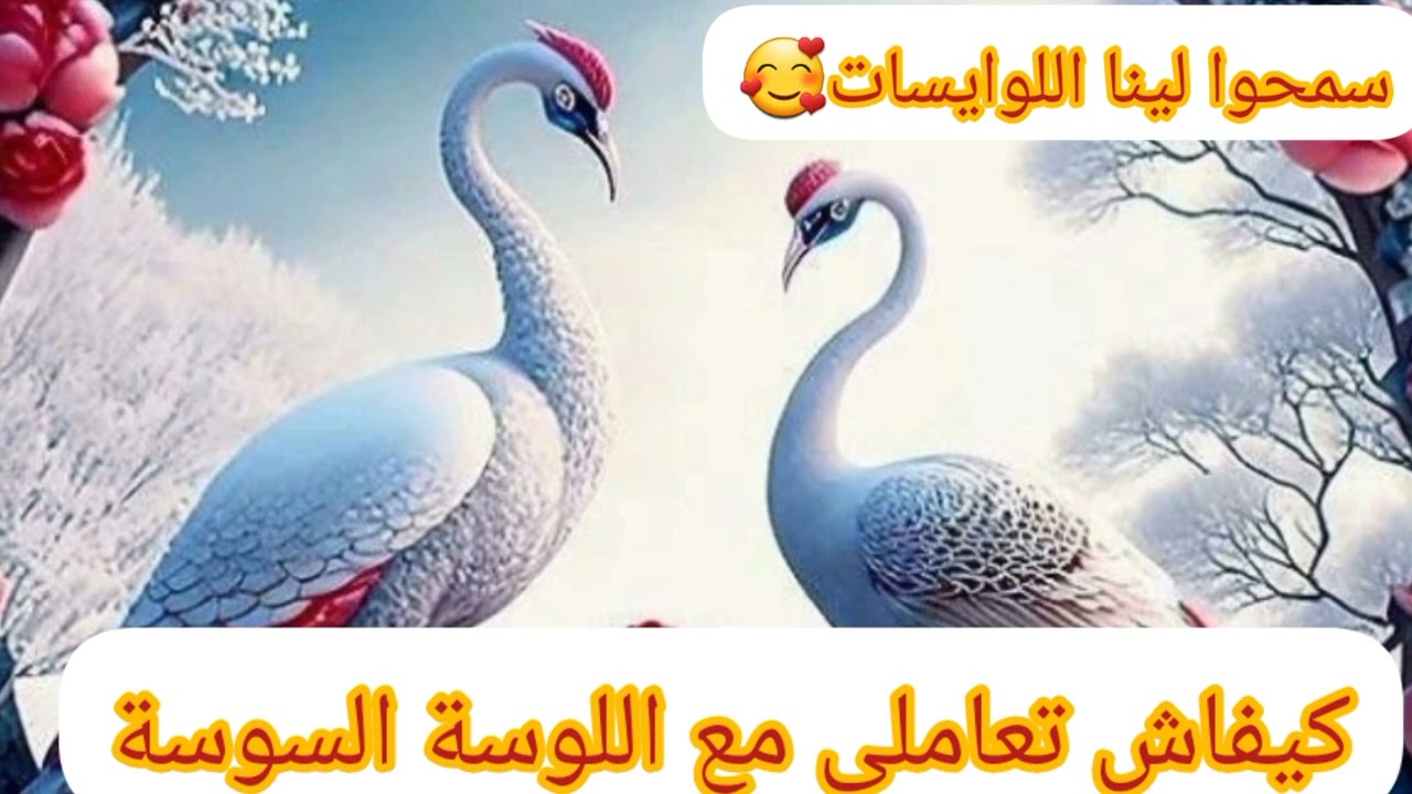 كيفاش تعاملي مع اللوسة السوسة؟؟؟