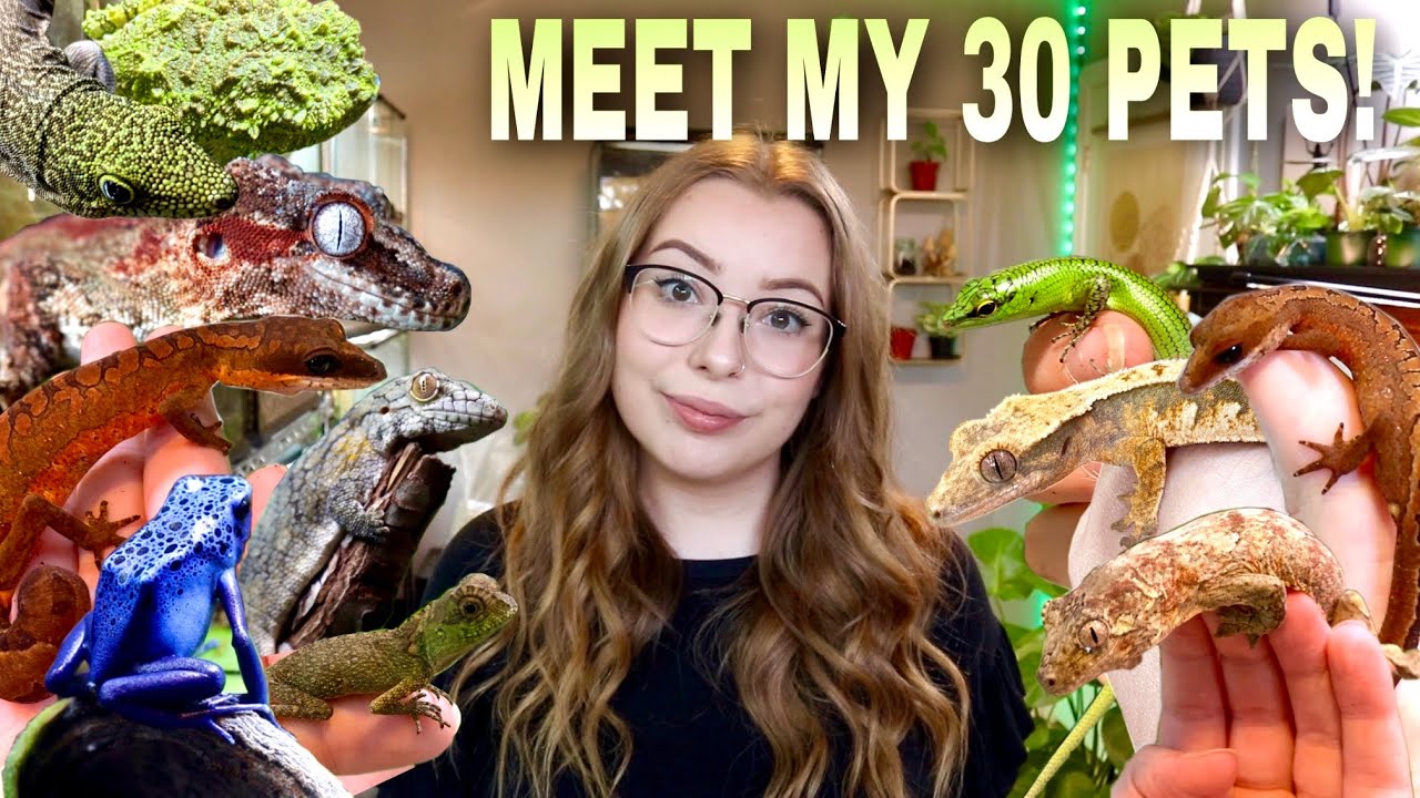 Meet ALL 30 Of My Pets! (In My Lizard Lounge)