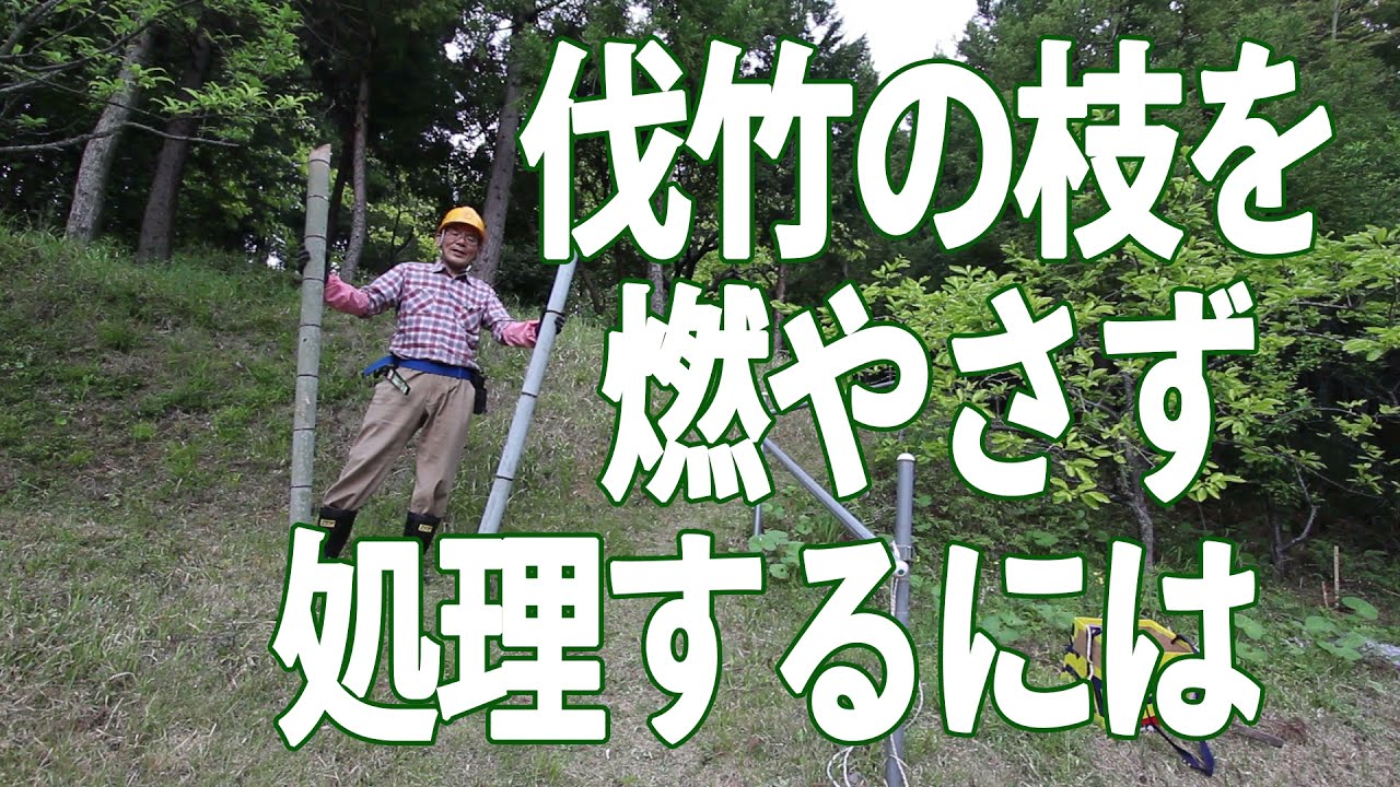 4月27日 伐竹の枝を燃やさず処理するには