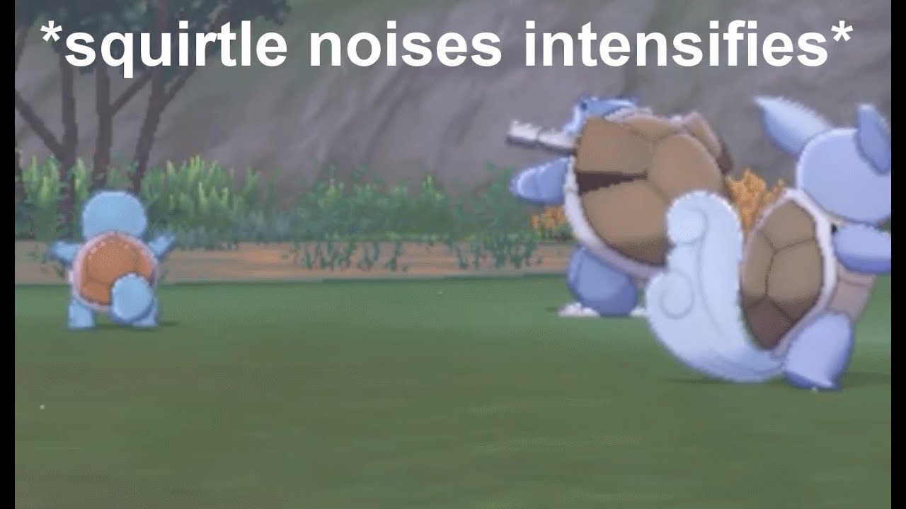 pokemon camp but its the squirtle evolution line