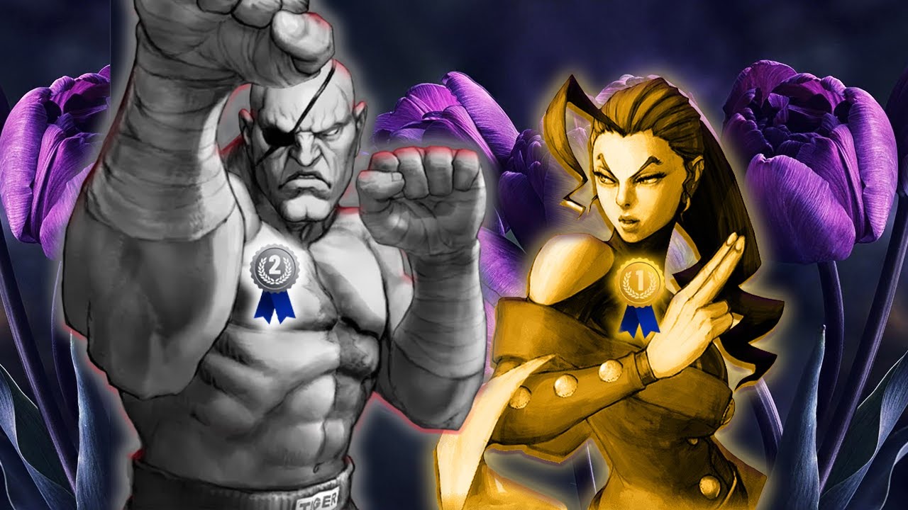 Do Character Archetypes Matter In Street Fighter?
