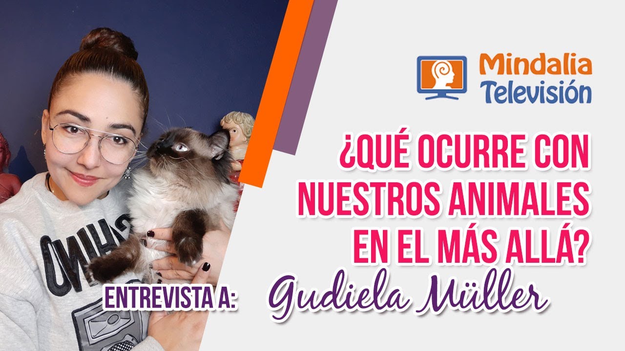 ¿Qué ocurre con nuestros animales en el más allá? Entrevista a Gudiela Müller