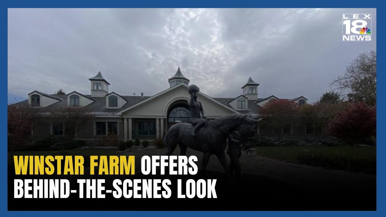 WinStar Farm Offers Behind-The-Scenes Look at Thoroughbred Champions