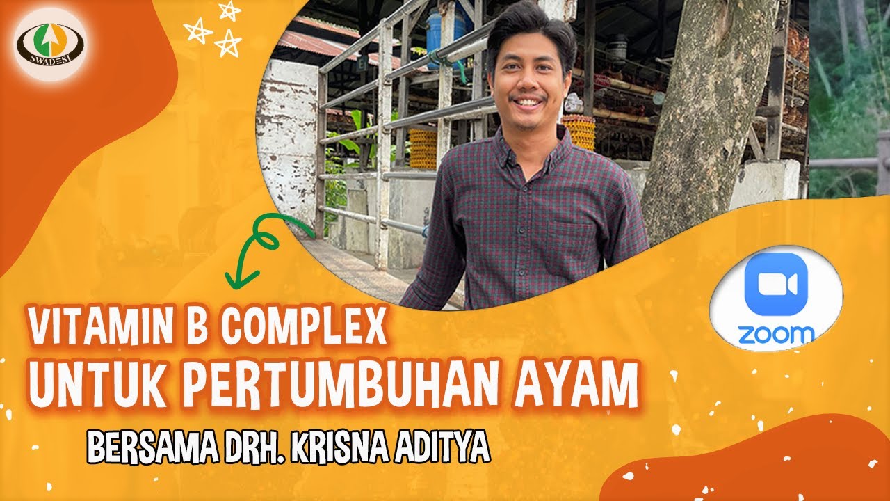 PEMBAHASAN VITAMIN B COMPLEX UNTUK PERTUMBUHAN AYAM #peternakanayam #swadesicandrasentosa