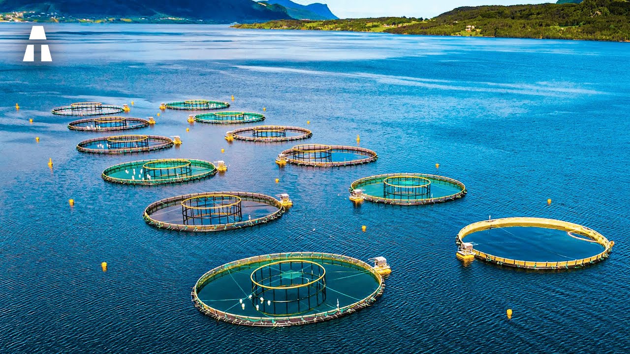 L'Avenir de l'Aquaculture et ses Nouvelles Technologies