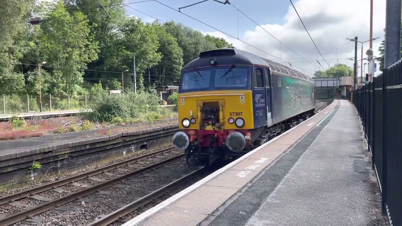 Lady P DRS 57307