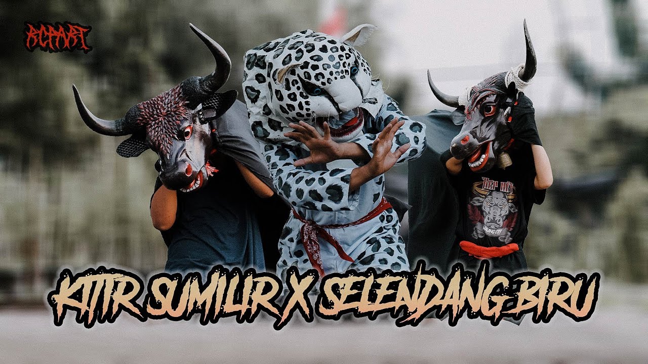 Angenku Ngamboro Anembus Mego X Selendang Biru Versi Banteng Jowo'an RCP art