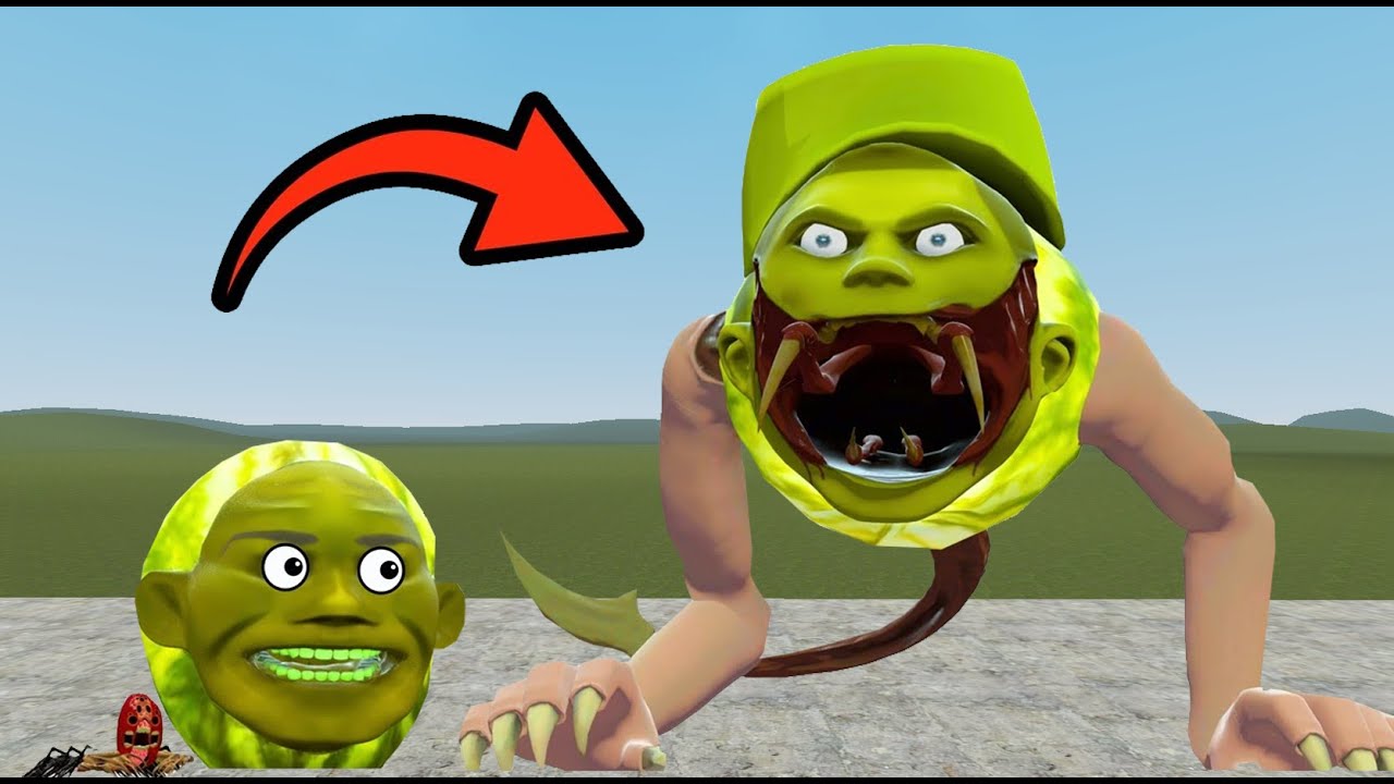 I MADE LIN GANG MELON INFECTED BY ZOOCHOSIS PARASITE IN GARRY'S MOD?