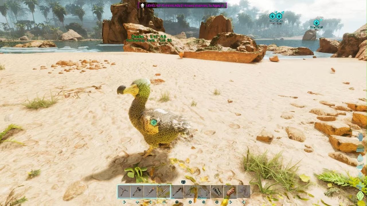 How too tame a dodo in ark Ascended the island