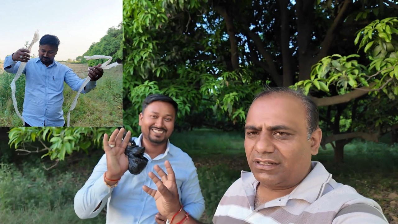 सबसे कठिन चुनौती को भी कर लिया पूरा | Pal Family Vlogs