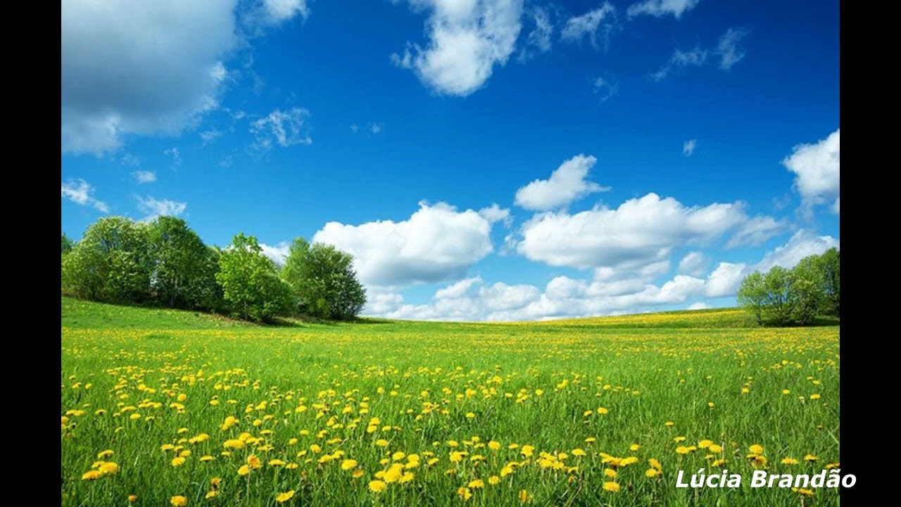 Apreciando a beleza da Natureza