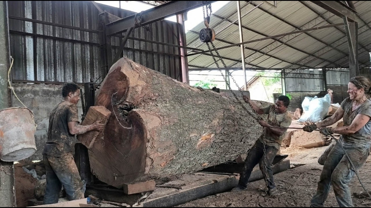 WEIRD AND DANGEROUS‼️ The Craziest Wood Ever to Enter a Sawmill