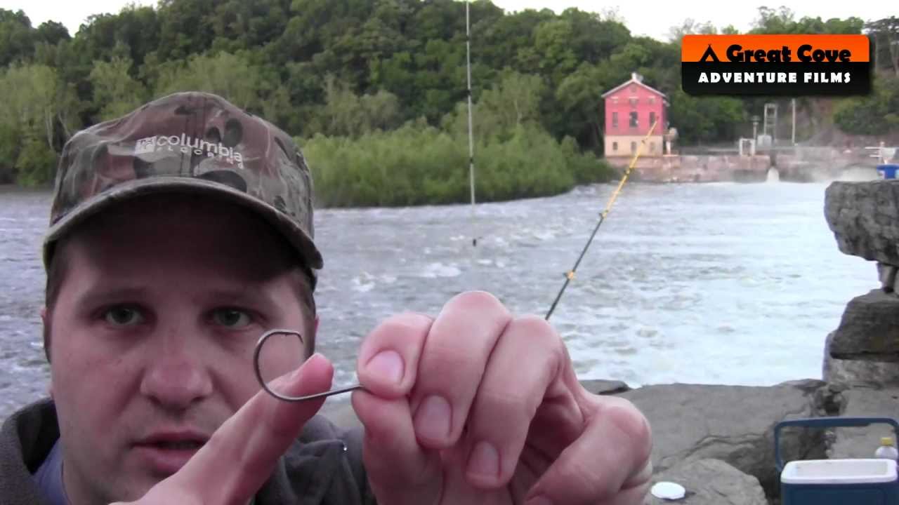 Circle hooks vs standard hooks for catfish