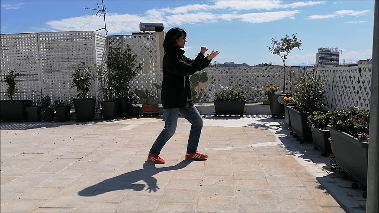 Wu Hao Taiji Quan 24 movements