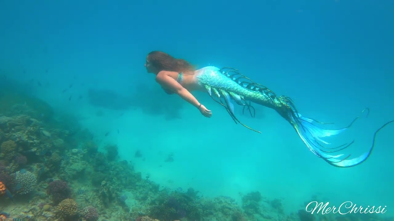 NEWS: Real life Mermaid Discovered! Echte Meerjungfrau gefunden!