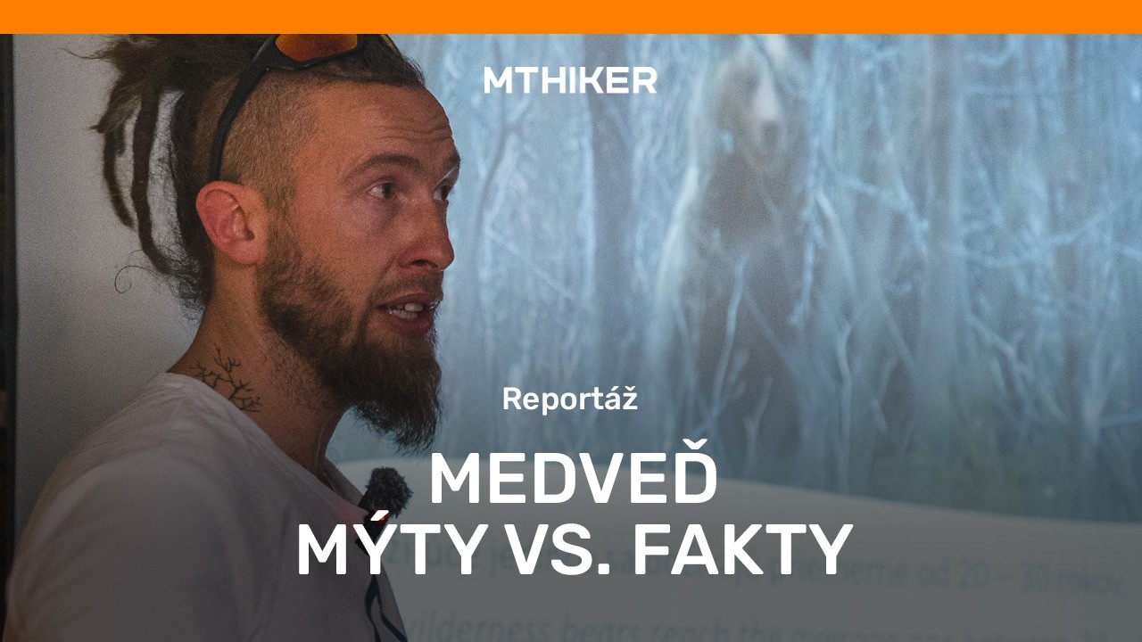 Reportáž: Medveď nie je lovec - čo robiť, keď sa les stane spoločným domovom?
