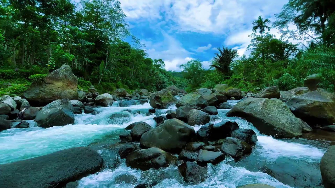 Sleep Instantly with This Peaceful Tropical River | Relaxing Nature Sounds