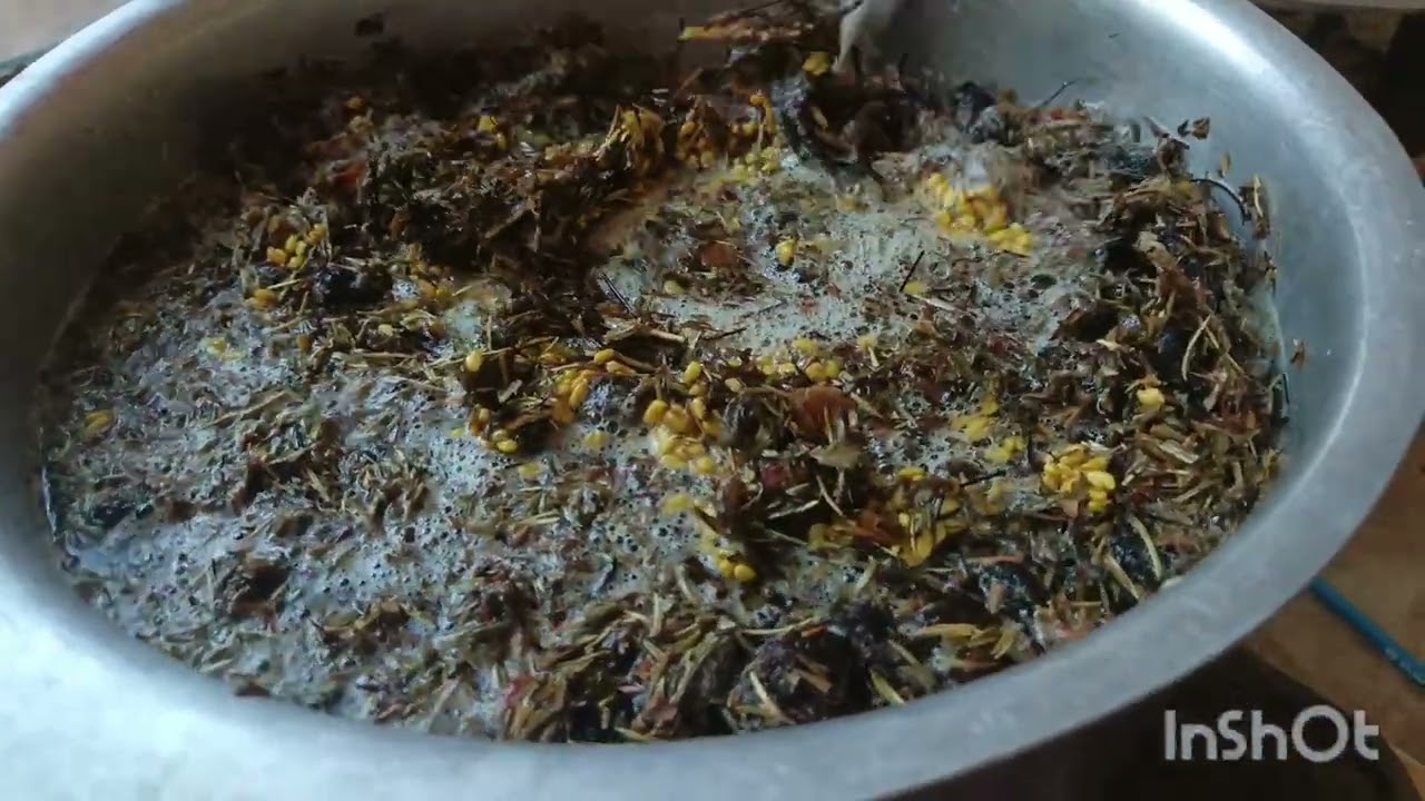 Organic shampoo at home#organic#homemade#hairstyle #hairgrowth #minivlog #winters#2026#explore