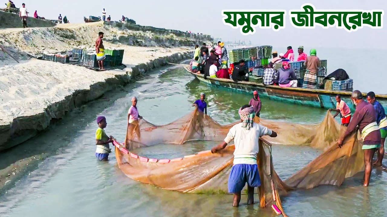 যমুনা নদী ও নদীচরের জীবনরেখা || Panorama Documentary