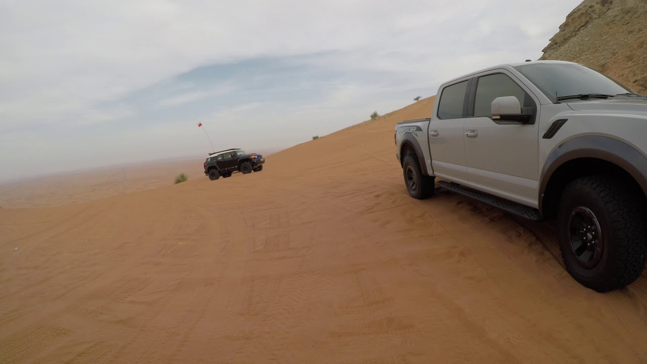 Two Raptors Desert Playtime