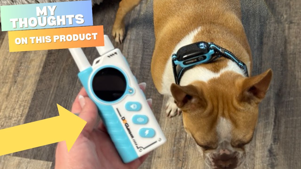 Quick Look at this 2-in-1 Dog Shock and Bark Collar