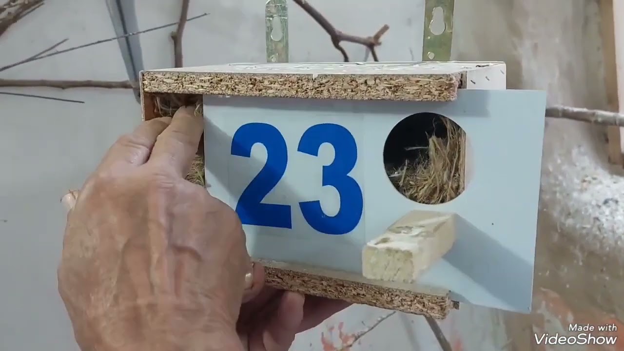 طريقة فحص البيض فنجس سوبر جامبو
