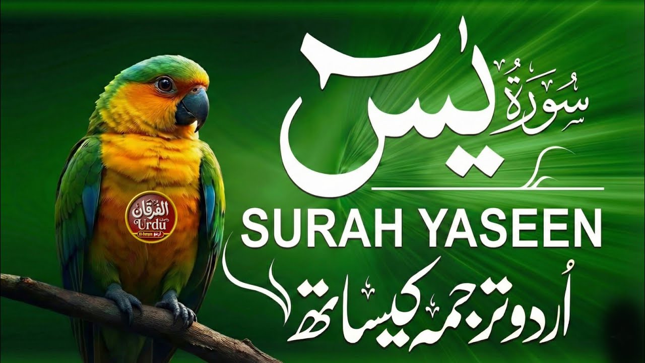 Surah Yaseen Full Recitation with Urdu Translation | Heart-Touching Quran Tilawat