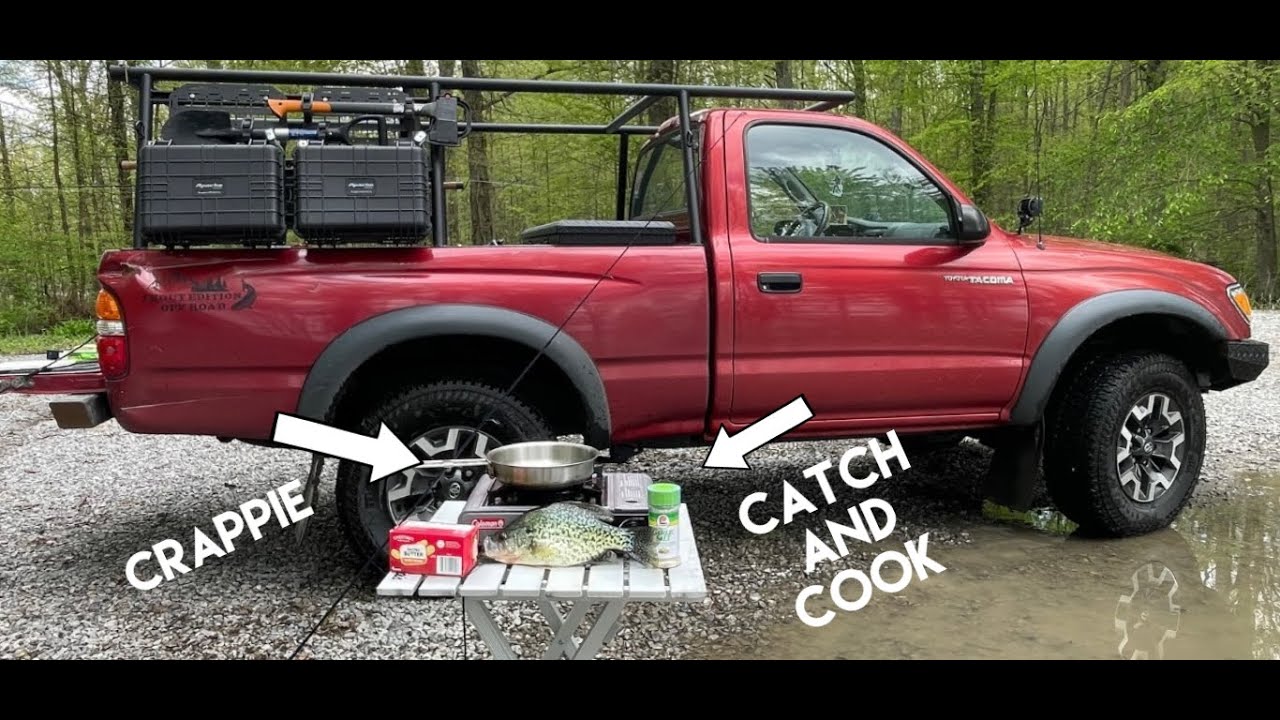 Crappie Catch And Cook Mosquito Lake