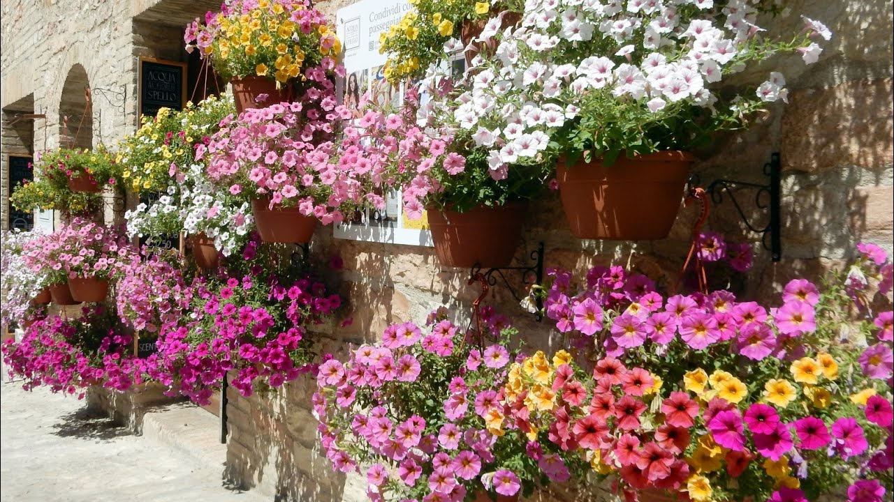 UMBRIA - SPELLO IN FIORE 2024 - 4k