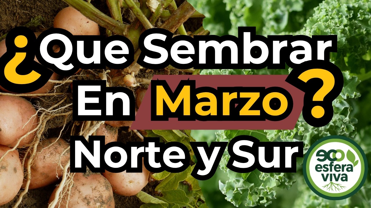 ¿Qué sembrar en Marzo? 🌍 Calendario de siembra Norte y Sur + Aromáticas + Semilleros + Flores