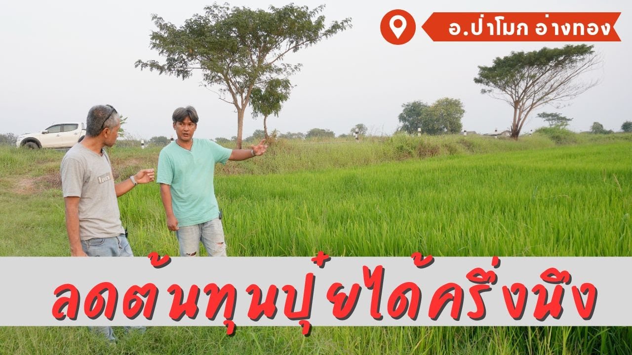 หนุ่มอ่างทอง แนะเคล็ดลับวิธีการใช้ปุ๋ยอินทรีย์ในนาข้าว เพื่อลดต้นทุนการผลิต