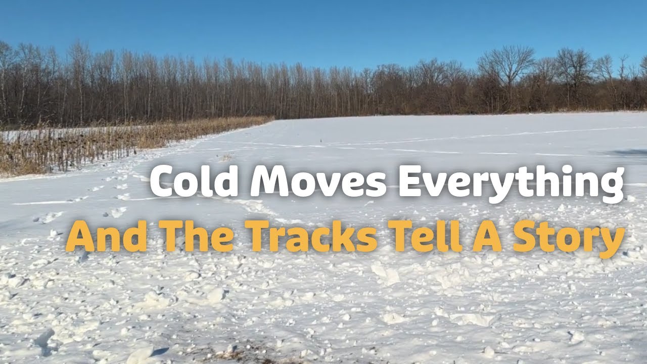 Scouting The Lazy Way In a Deep Freeze | Deer on the Move