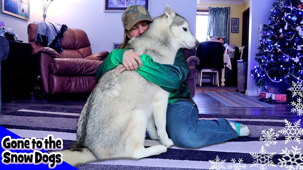 Hugging My Dog For Too Long Challenge | With Funny Commentary