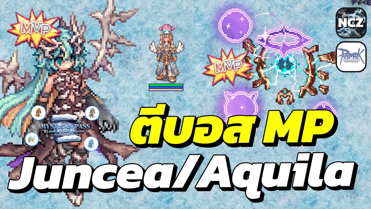 Em งบน้อย ทำกิจ MP ตีบอส Juncea / Aquila ฟาร์มเงินเอ็มยามดึก ด่วน! ของฟรีมาแล้ว! | RO EP.682