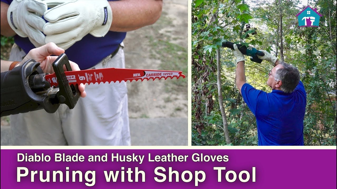 How to Trim Trees with a Pruning Blade