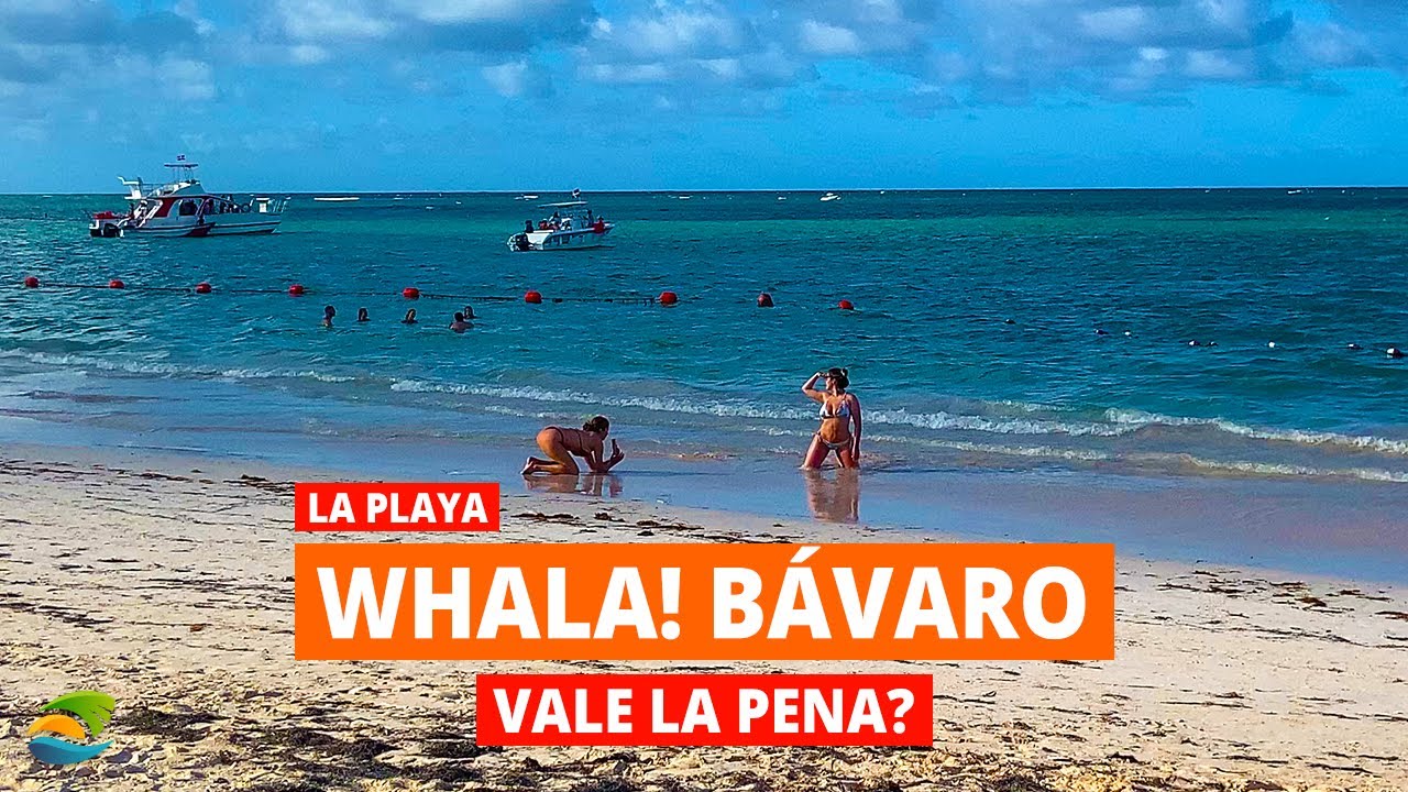 Hotel Whala Bávaro en Punta Cana - TOP 5 Ventajas, Hermosa playa y Recomendaciones en 2023