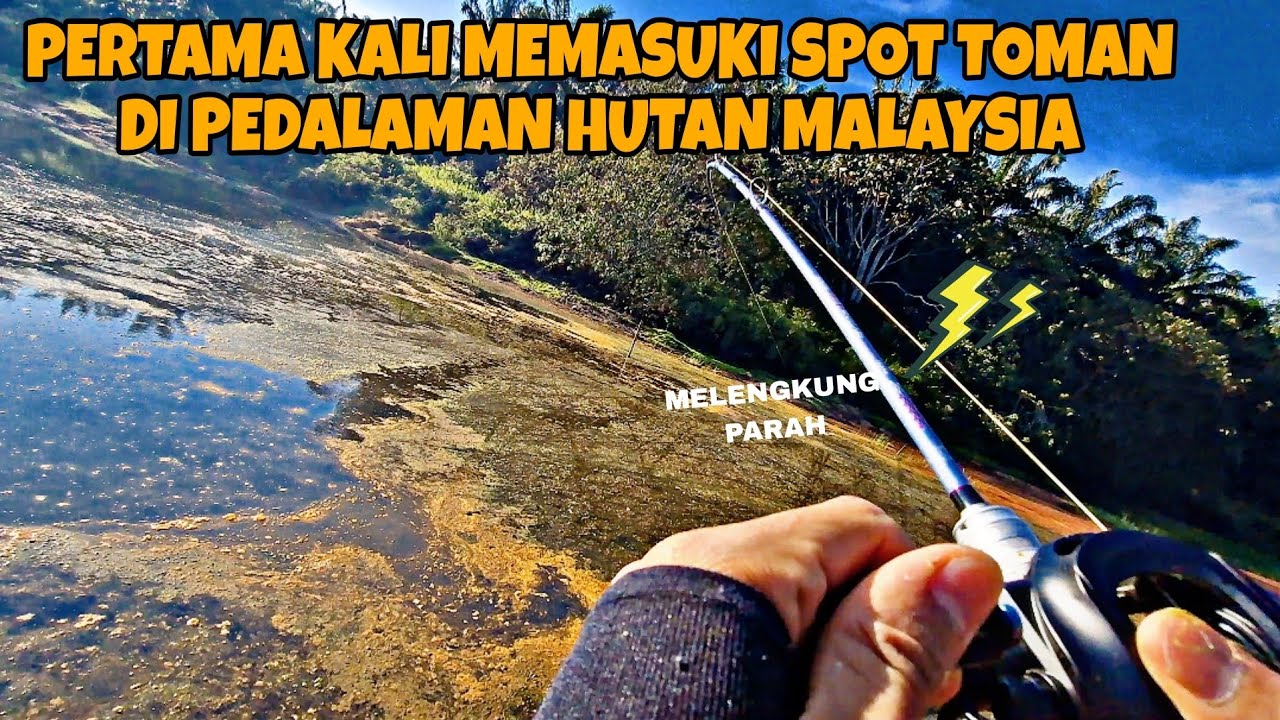 CASTING TOMAN || PERTAMA KALI MEMASUKI SPOT TOMAN DI PEDALAMAN HUTAN MALAYSIA