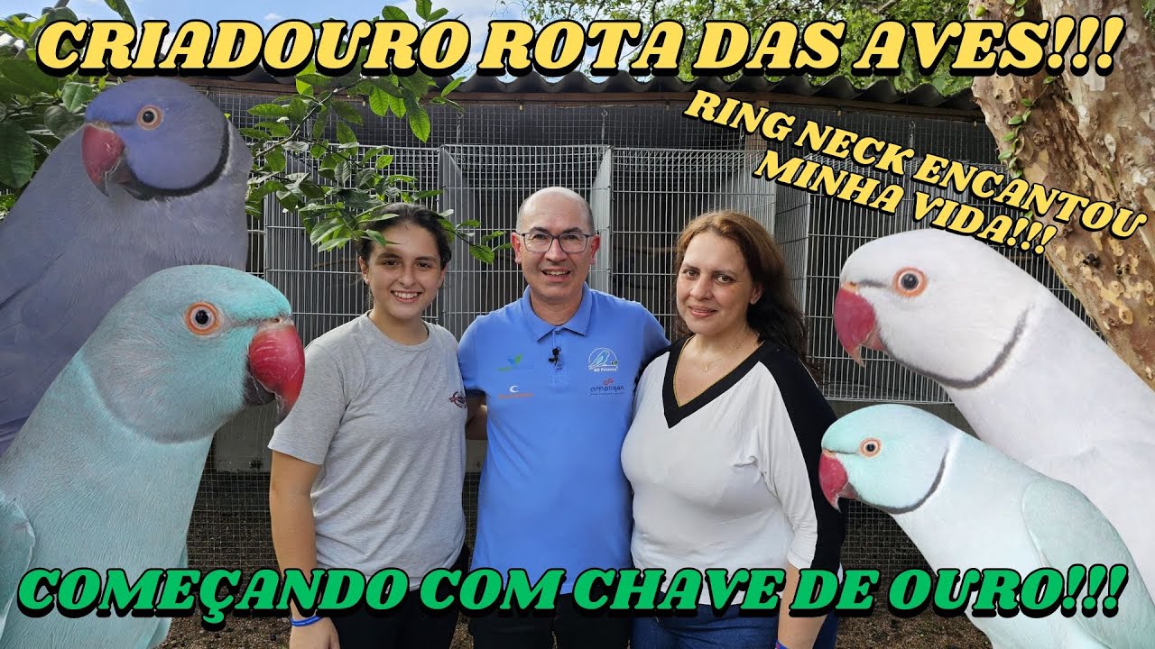FLÁVIA MABEL CRIADORA ESPECIALIZADA EM RING NECKS!!!