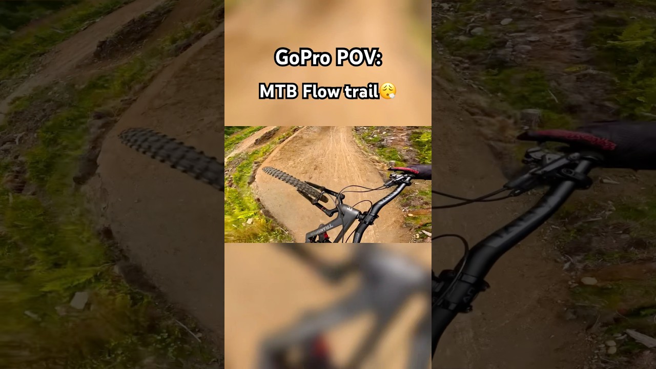 MTB Flow Trail🔥😮&zwj;💨 #mtb #flow #trails ##mountainbike #bikelife #bike