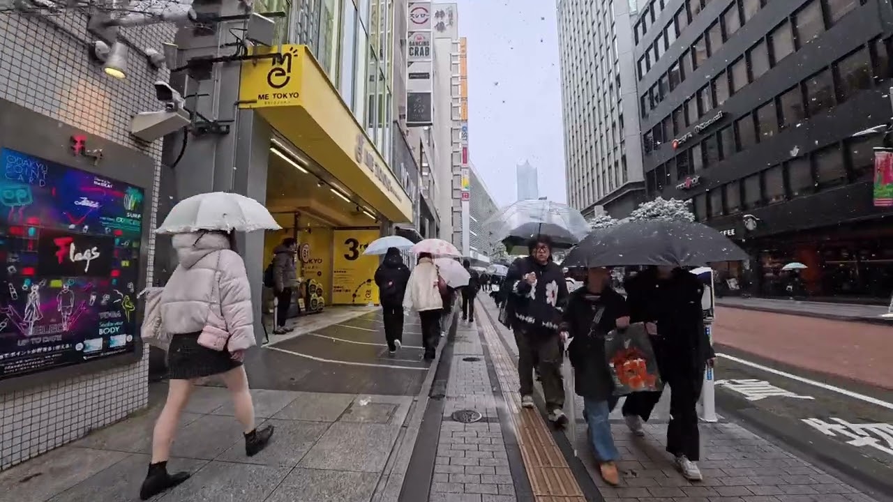 東京新宿雪中散步 | Snowy Shinjuku Walk  | 雪新宿の散策