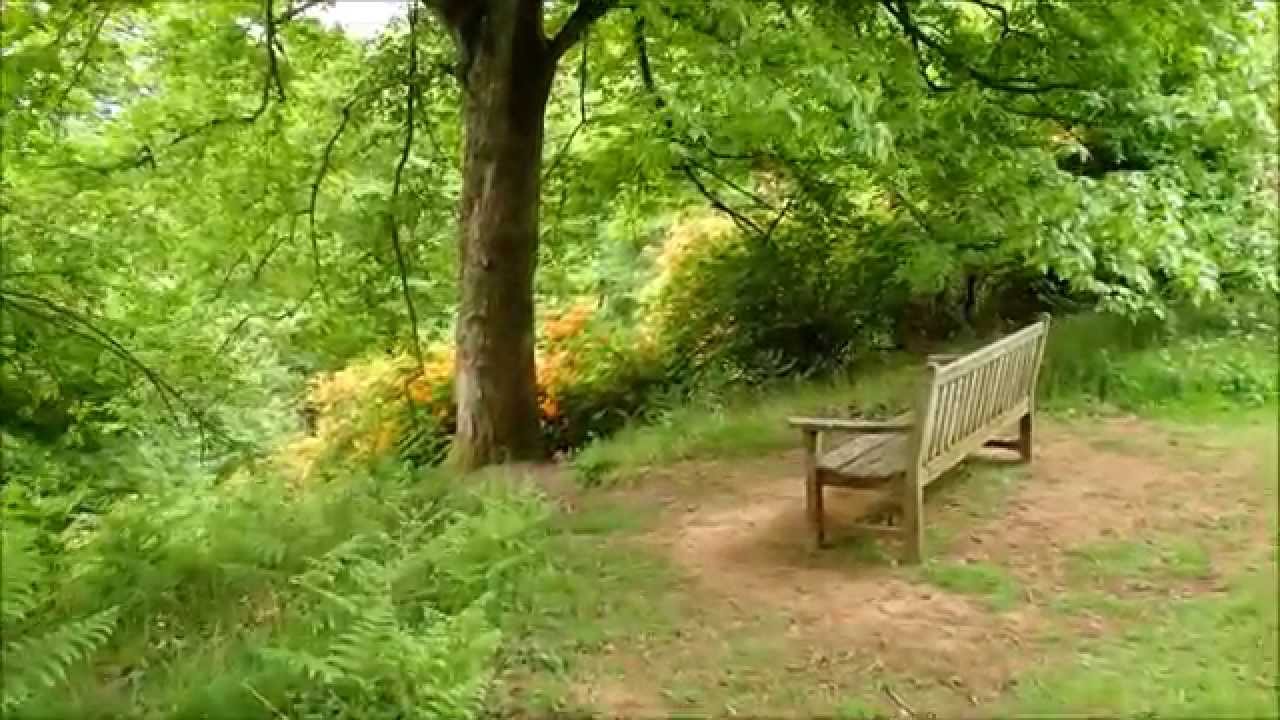 A Walk in Winkworth Arboretum, Spring 2015