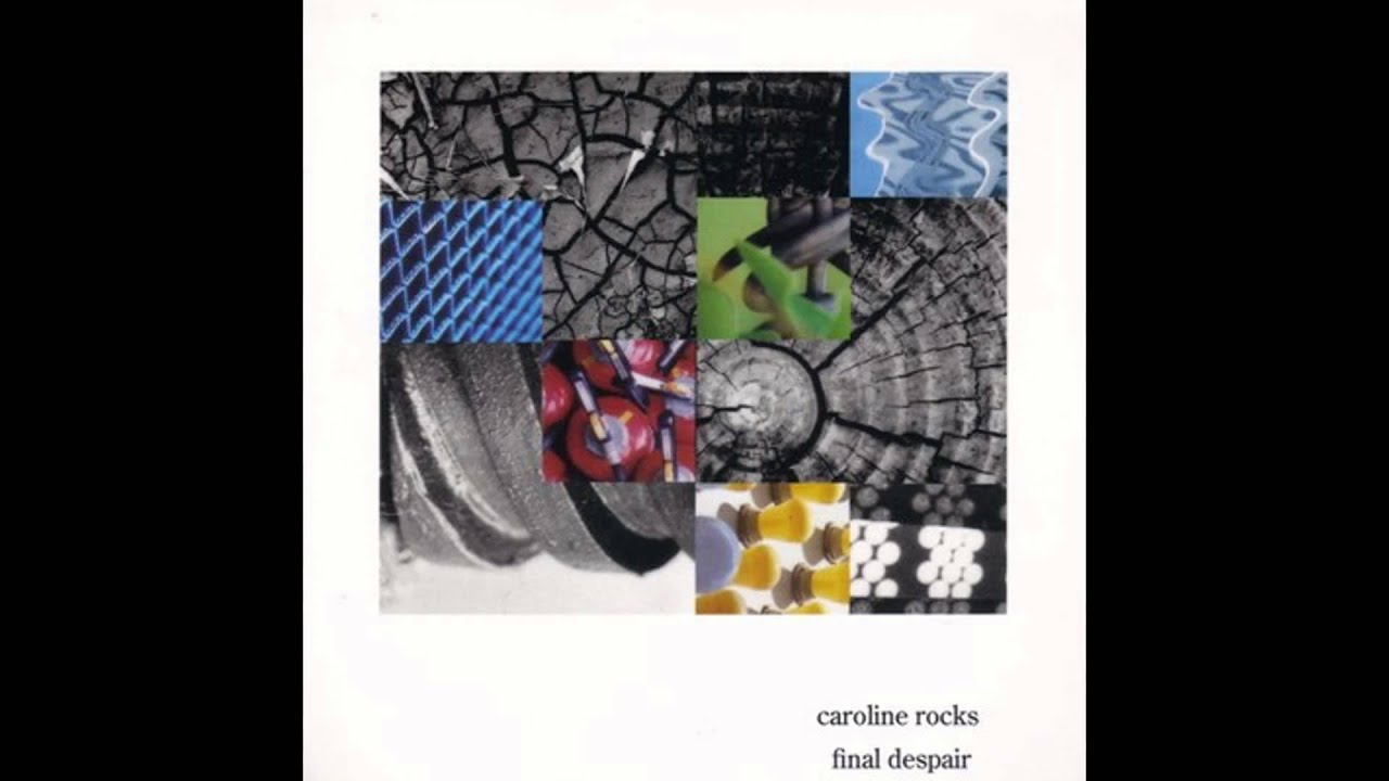 Caroline Rocks - a isolated flower